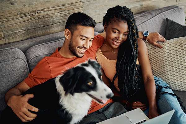 A young couple sitting with their Border Collie in their living room at home and using a laptop