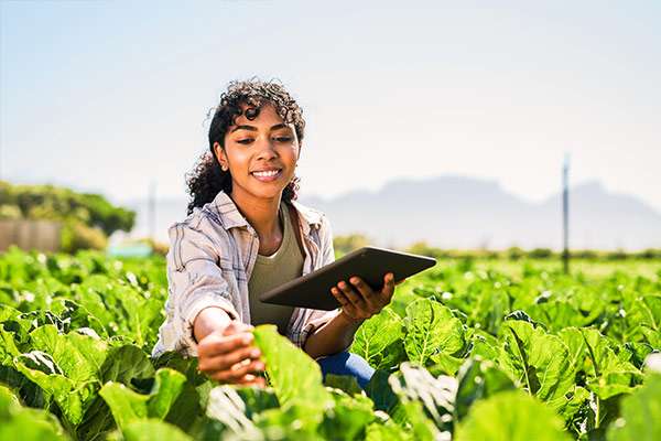 Young woman using a digital tablet while inspecting crops on a farm